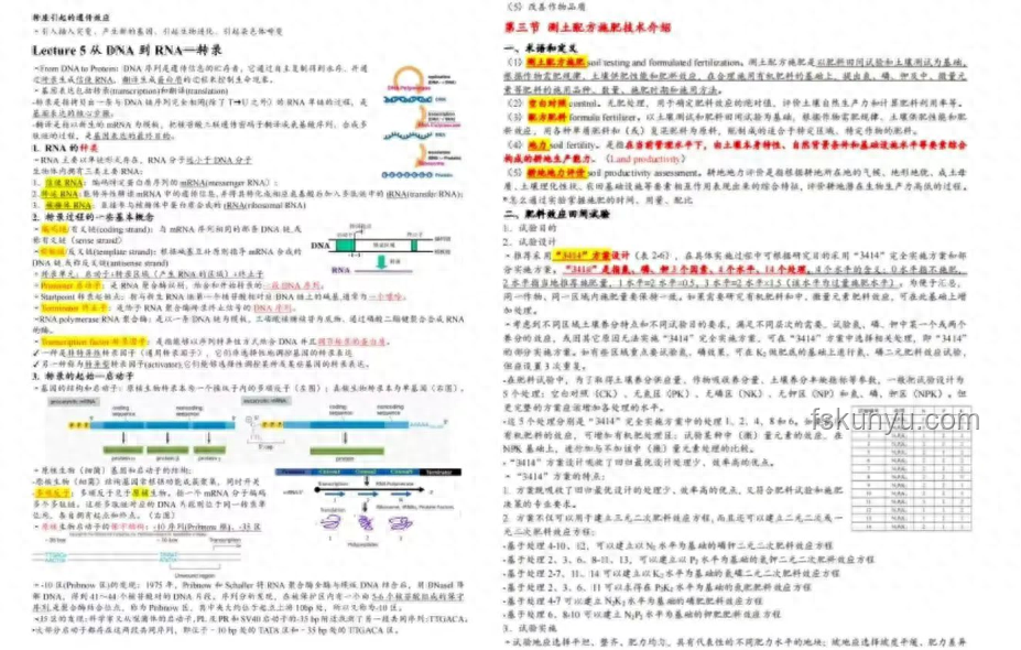 被浙大录取仍赴考：探索未知边界的创新勇气